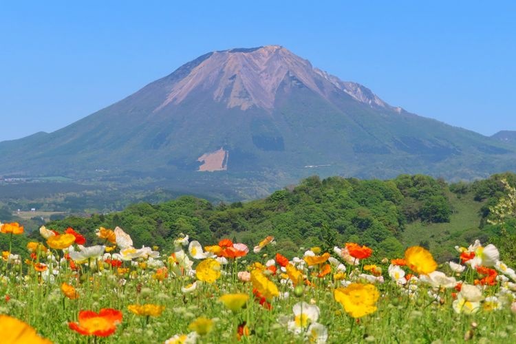 とっとり花回廊 3