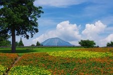 Tourist destination images of Tottori Hanakairou (Tottori Flower Park)(3)