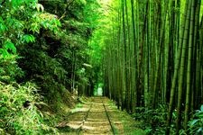 Tourist destination images of Former Kurayoshi Line Abandoned Track(1)