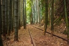 Tourist destination images of Former Kurayoshi Line Abandoned Track(2)