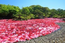 Tourist destination images of Yushien(1)