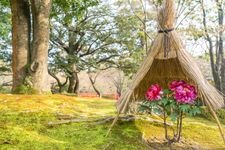 Tourist destination images of Yushien(2)