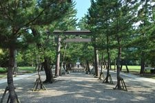 Tourist destination images of Izumo Taisha Shrine(4)