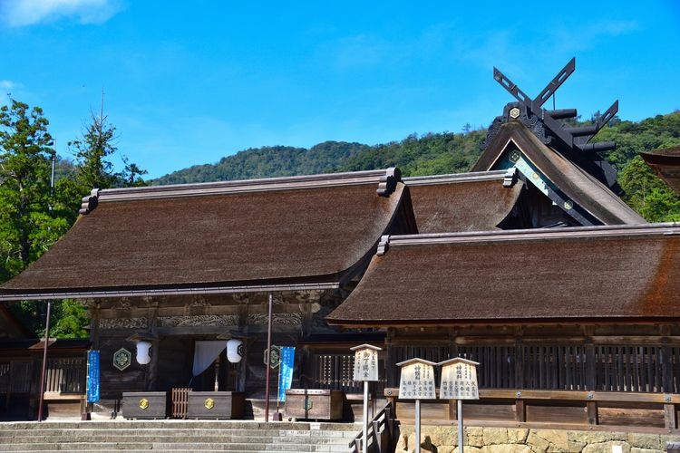 Izumo Taisha 4