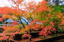 Tourist destination images of Wanibuchi-ji Temple(1)