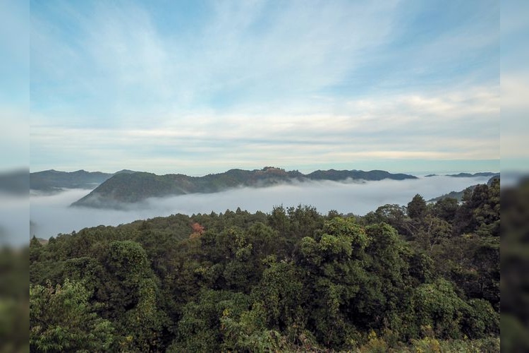 Tourist destination images of Tsuwano Castle Ruins(4)