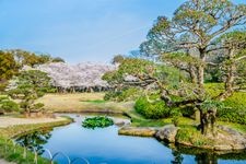 Tourist destination images of Okayama Korakuen Garden(6)