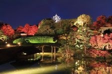 Tourist destination images of Okayama Korakuen Garden(2)