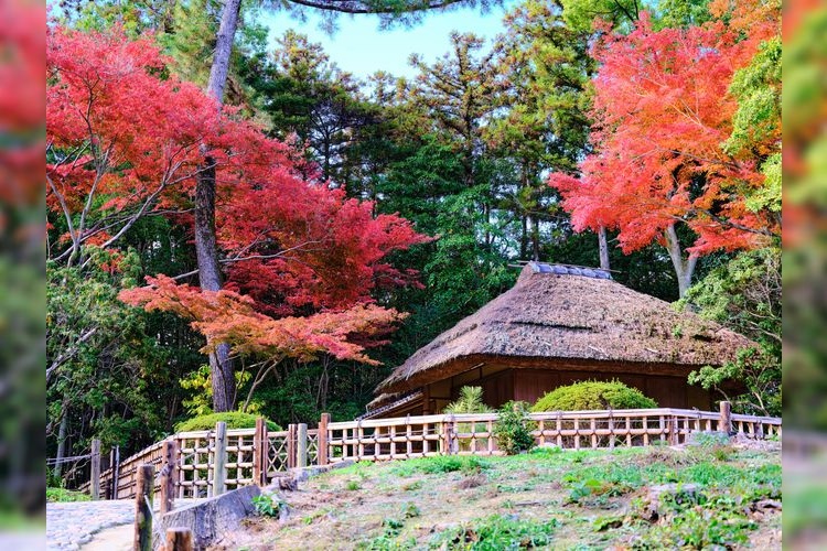 Tourist destination images of Okayama Korakuen Garden(4)
