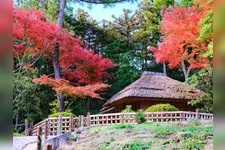 Tourist destination images of Okayama Korakuen Garden(4)