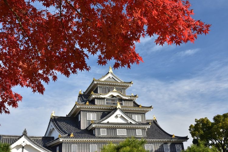 Okayama Castle