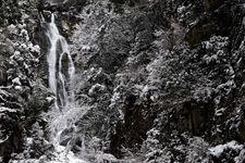 Tourist destination images of Kamiba Falls(2)