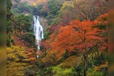 Tourist destination images of Kamiba Falls(1)