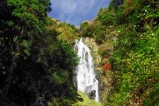 Tourist destination images of Kamiba Falls(3)