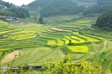 Tourist destination images of Ohaga Nishi Rice Terraces(1)