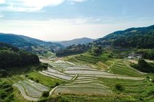 Tourist destination images of Ohaga Nishi Rice Terraces(4)