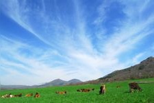 Tourist destination images of Hiruzen Jersey Land(2)