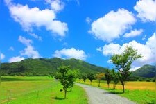 Tourist destination images of Hiruzen Jersey Land(2)