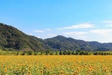 Tourist destination images of Kasaoka Bay Reclamation Area(2)