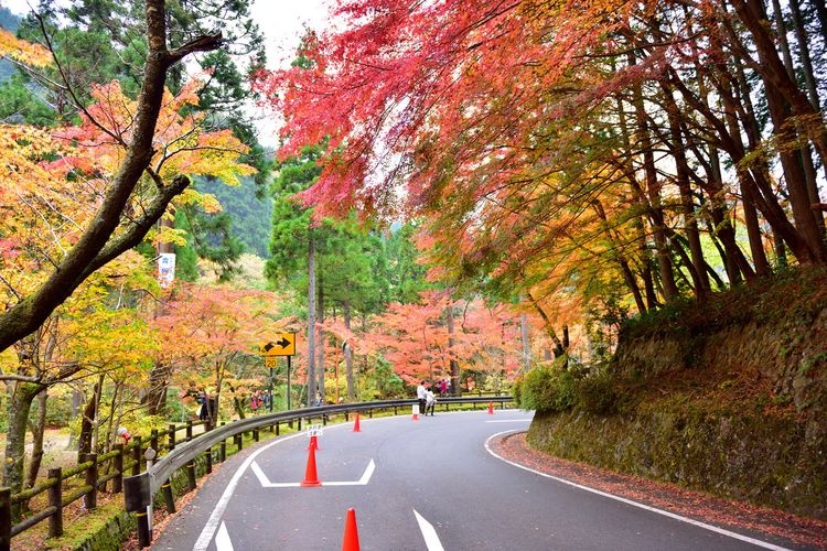 Okutsukei Gorge (Scenic Spot)