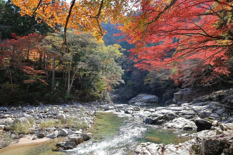 Tourist destination images of Okutsukei Gorge (Scenic Spot)(2)