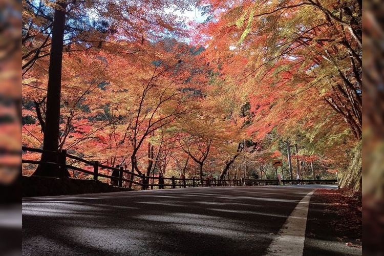 Tourist destination images of Okutsukei Gorge (Scenic Spot)(3)