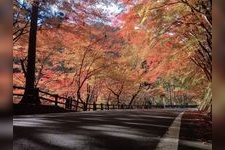 Tourist destination images of Okutsukei Gorge (Scenic Spot)(3)