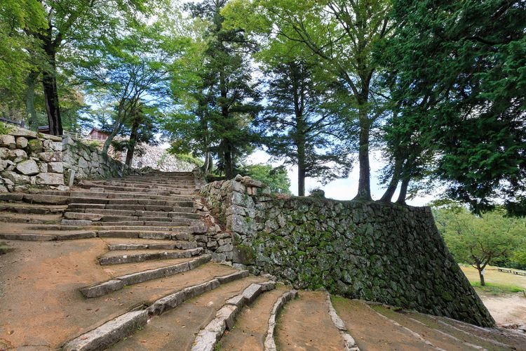 Bitchu Matsuyama Castle