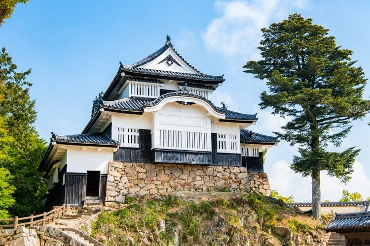 비추 마츠야마 성 (Bitchu Matsuyama Castle) 2