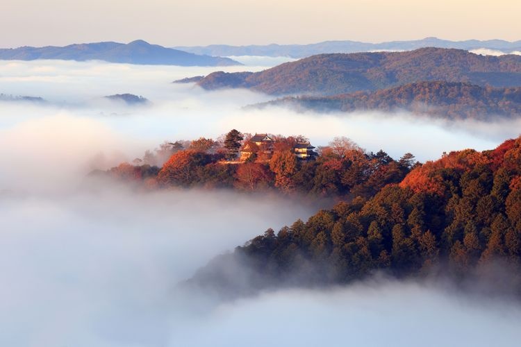 비추 마츠야마 성 (Bitchu Matsuyama Castle) 3