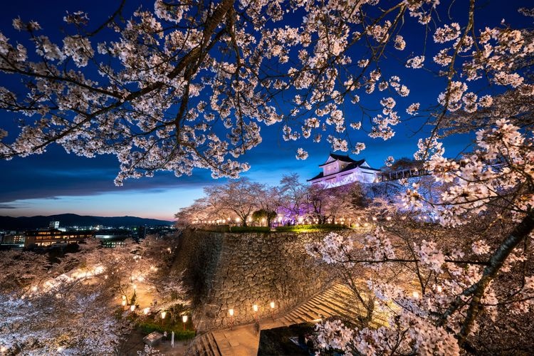 津山城（鶴山公園） 2