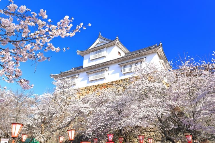 津山城（鶴山公園） 3