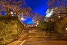 Tourist destination images of Tsuyama Castle (Tsuruyama Park)(2)