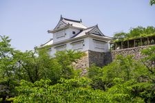 Tourist destination images of Tsuyama Castle (Tsuruyama Park)(3)