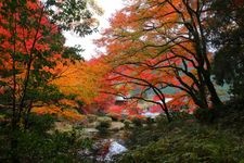 Tourist destination images of Yosui-en Garden(4)