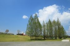 Tourist destination images of Bihkoku Hillside National Garden(2)