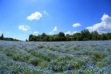 Tourist destination images of Bihkoku Hillside National Garden(3)