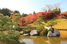 Tourist destination images of Sankeien Garden(1)