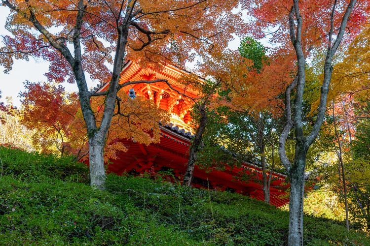 Tourist destination images of Mitaki-dera Temple(2)