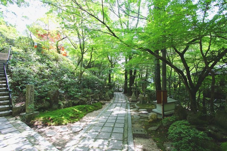 Mitaki-dera Temple