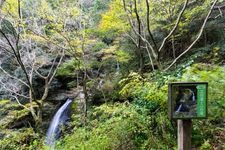 Tourist destination images of Mitaki-dera Temple(5)