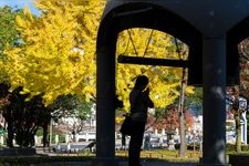 Tourist destination images of Peace Memorial Park(1)