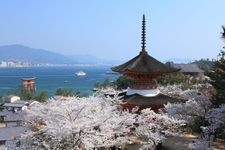 Tourist destination images of Itsukushima Shrine(4)