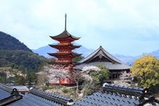 Tourist destination images of Itsukushima Shrine(10)