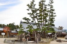 Tourist destination images of Itsukushima Shrine(11)