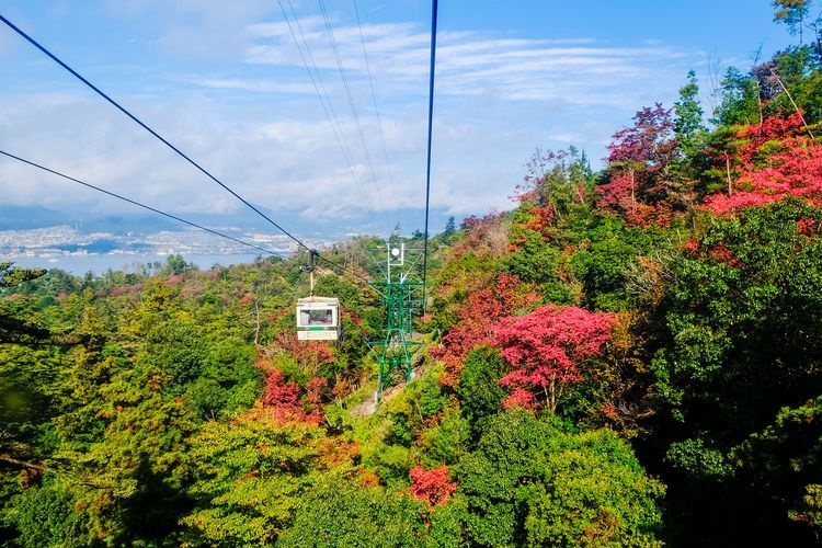 Mount Misen