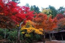 Tourist destination images of Mount Misen(2)