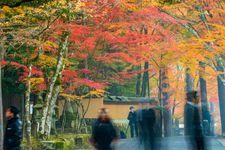 Tourist destination images of Buttsuji Temple(2)