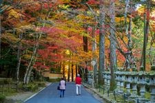 Tourist destination images of Buttsuji Temple(3)