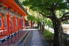 Tourist destination images of Kousanji Temple(4)